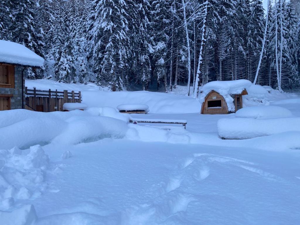 Chalet resort Sozzine 17148-CNI-00055 Ponte Di Legno Esterno foto