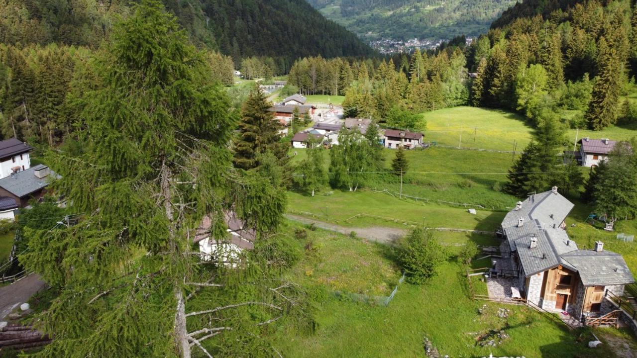 Chalet resort Sozzine 17148-CNI-00055 Ponte Di Legno Esterno foto